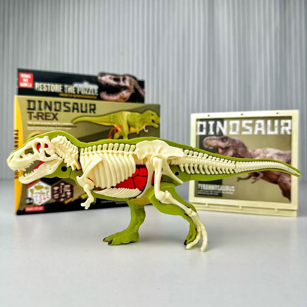 Children's dinosaur educational toy simulation Tyrannosaurus Rex Triceratops, Anatomy assembly model