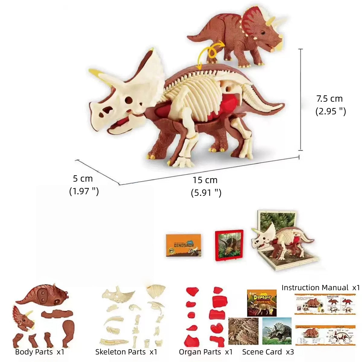 Children's dinosaur educational toy simulation Tyrannosaurus Rex Triceratops, Anatomy assembly model
