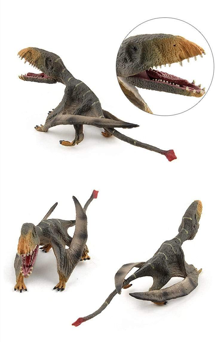 13‘’ Realistic Pterosaur Dinosaur Solid Action Figure Model Toy Decor