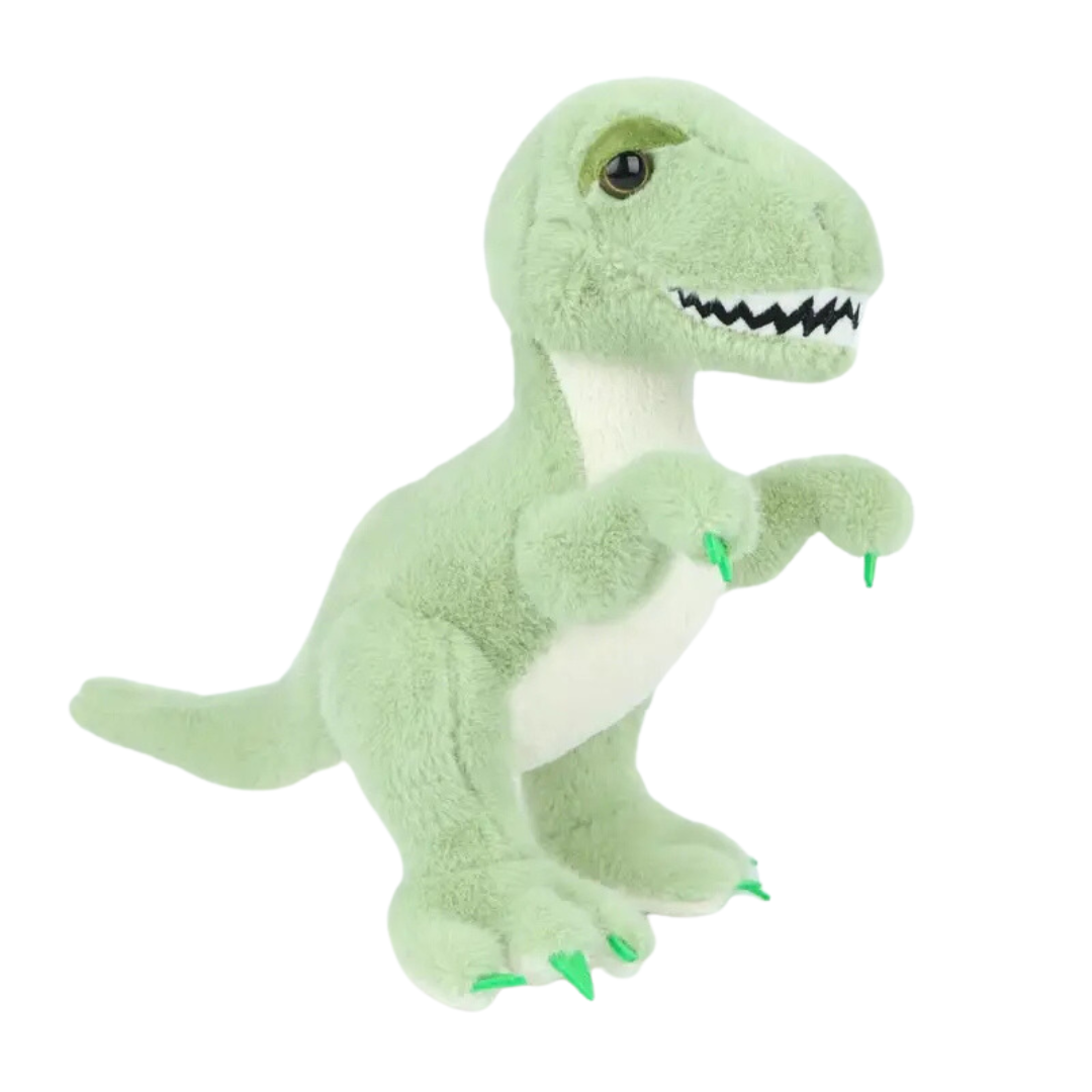 Name Personalized Dinosaur Stuffed Animal Cute T Rex Plush Toy for Boys Girls Birthday Gifts