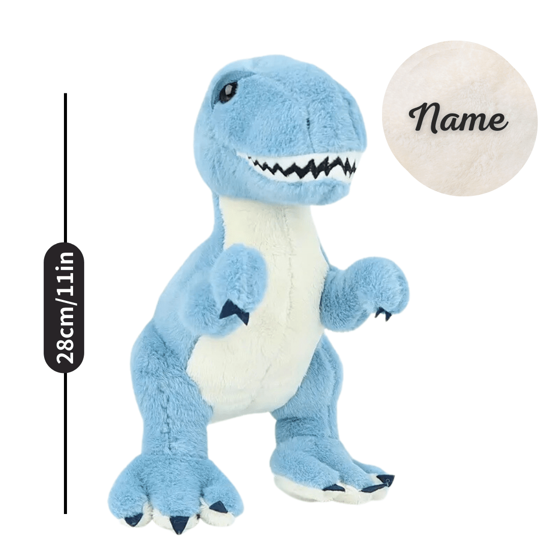 Name Personalized Dinosaur Stuffed Animal Cute T Rex Plush Toy for Boys Girls Birthday Gifts
