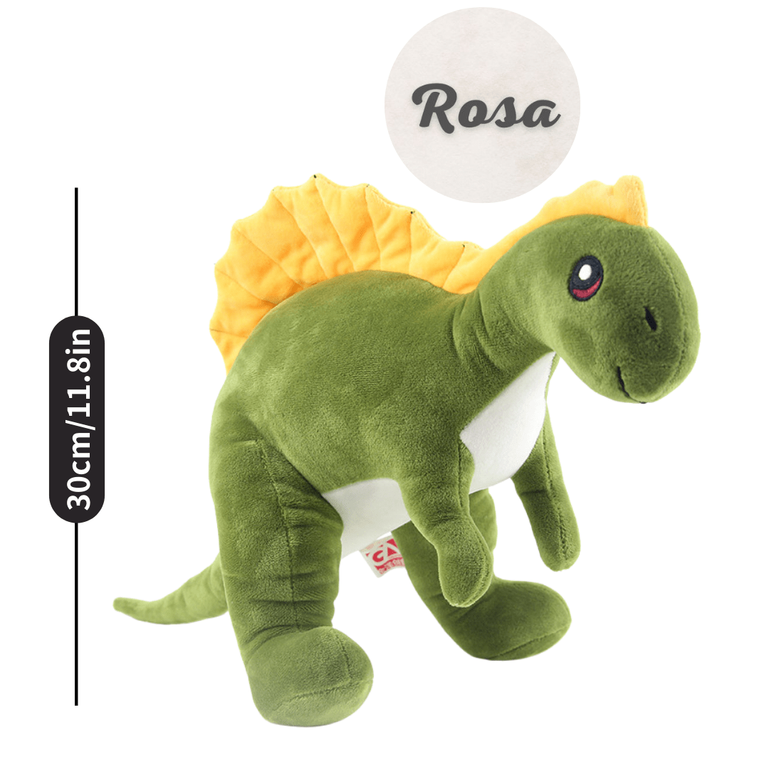 Name Personalized Dinosaur Stuffed Animal Cute T Rex Plush Toy for Boys Girls Birthday Gifts