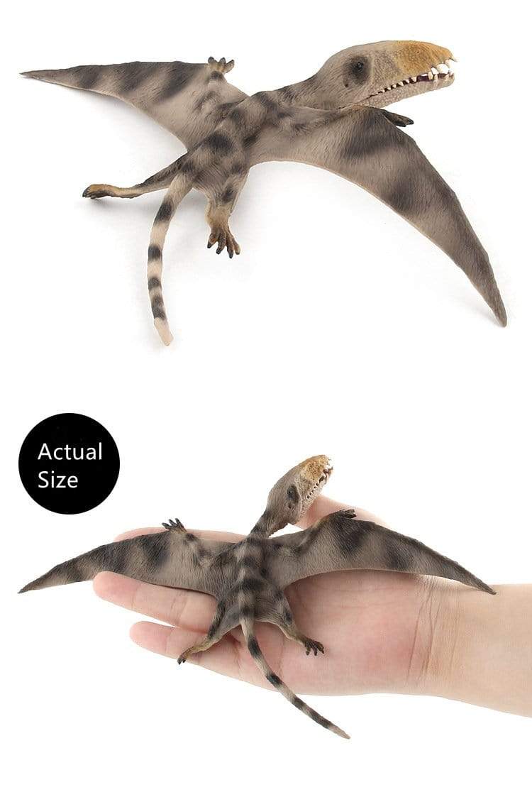 13‘’ Realistic Pterosaur Dinosaur Solid Action Figure Model Toy Decor