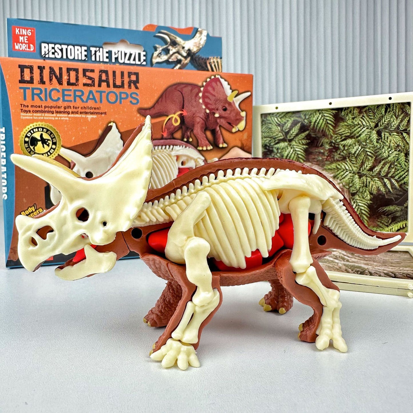 Children's dinosaur educational toy simulation Tyrannosaurus Rex Triceratops, Anatomy assembly model