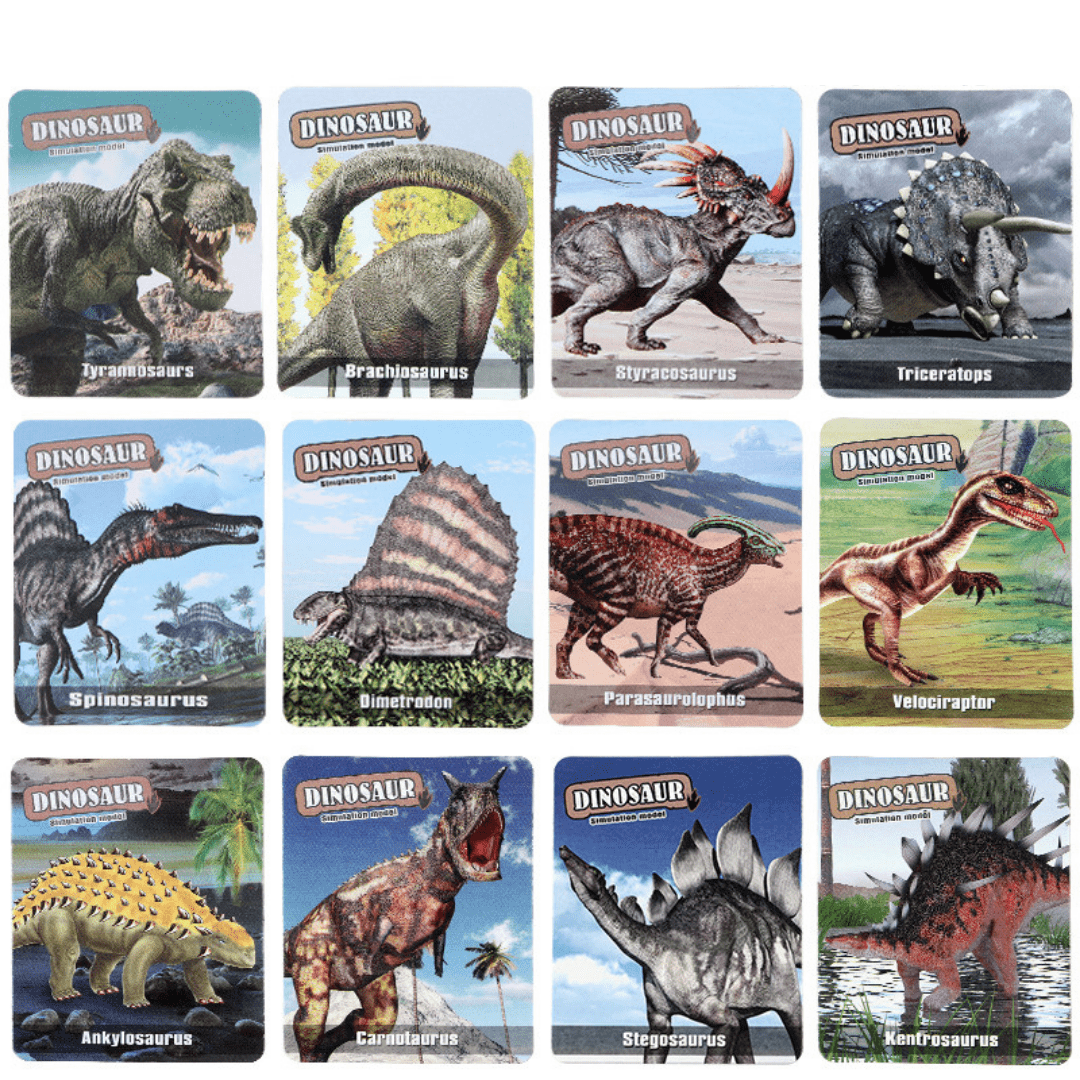 Dinosaur Flash Cards and Figures Set Children Educational Learning Toy