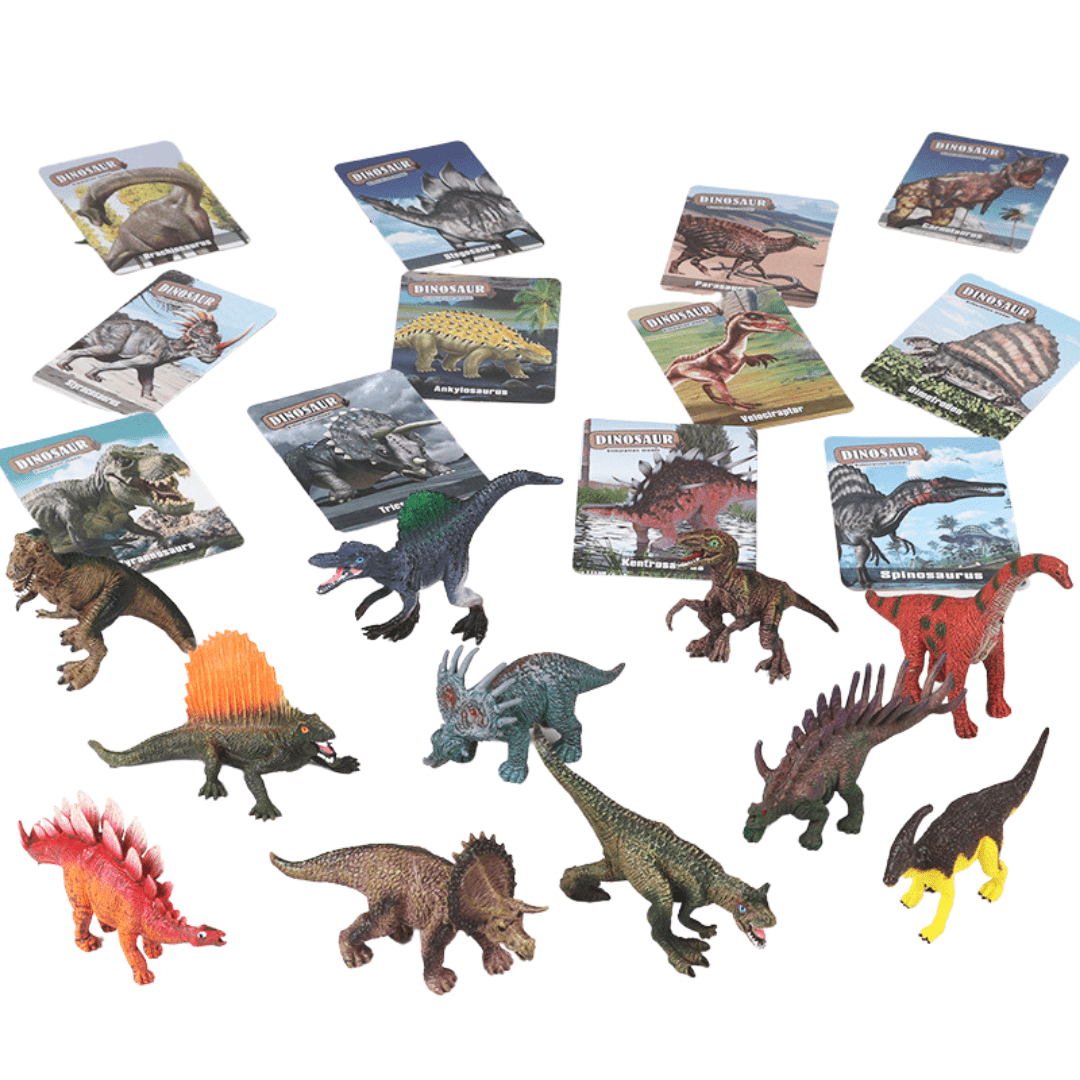 Dinosaur Flash Cards and Figures Set Children Educational Learning Toy