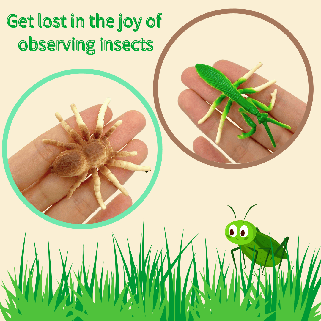 Simulated Insect Observation Box Toy