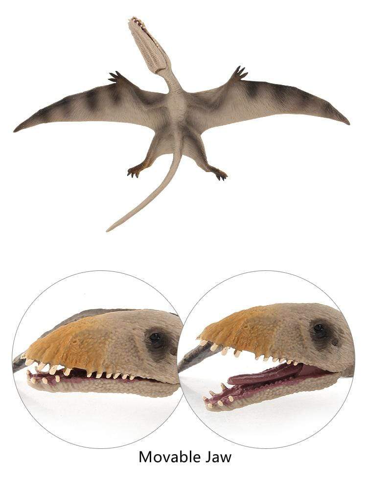 13‘’ Realistic Pterosaur Dinosaur Solid Action Figure Model Toy Decor
