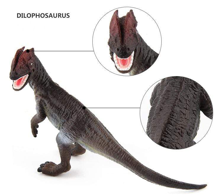 6‘’ Realistic Dilophosaurus Dinosaur Solid Action Figure Model Toy Decor
