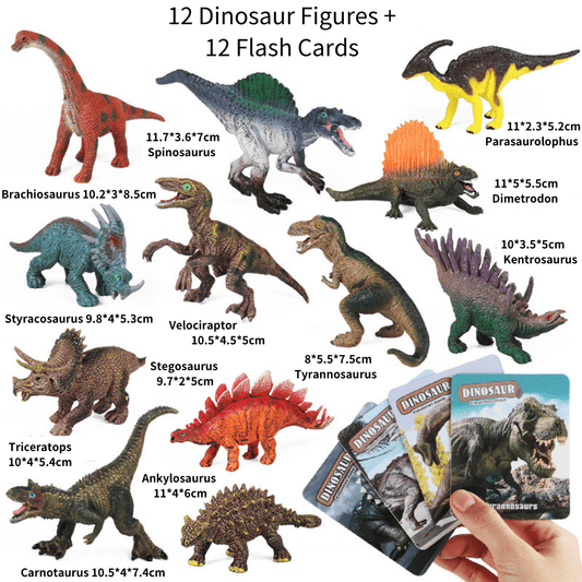 Dinosaur Flash Cards and Figures Set Children Educational Learning Toy
